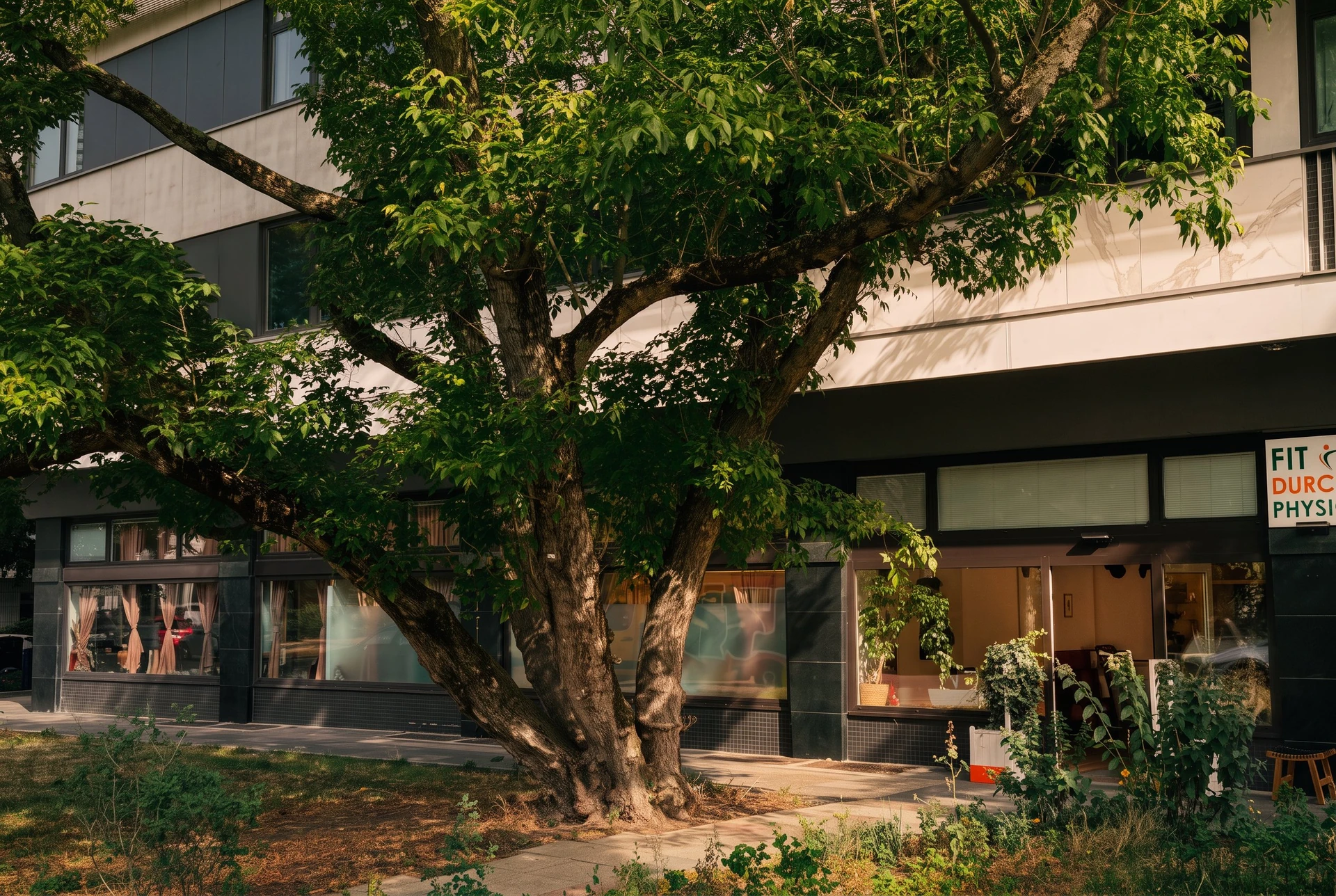 Außenansicht der Praxis Fit durch Physio am Bayerischen Platz in Berlin-Schöneberg mit begrünter Fassade